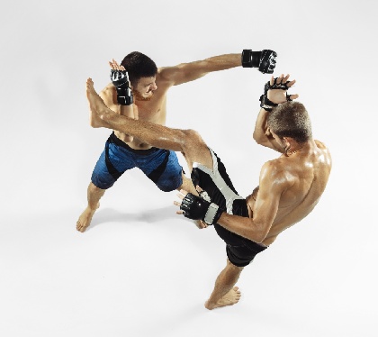 Mixed Martial Arts
